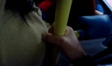 خرگوش انال زوری شب