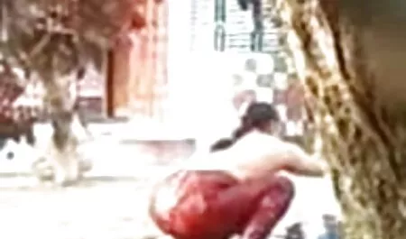 برزیلی, سگ ماده, در پورن انال استخر